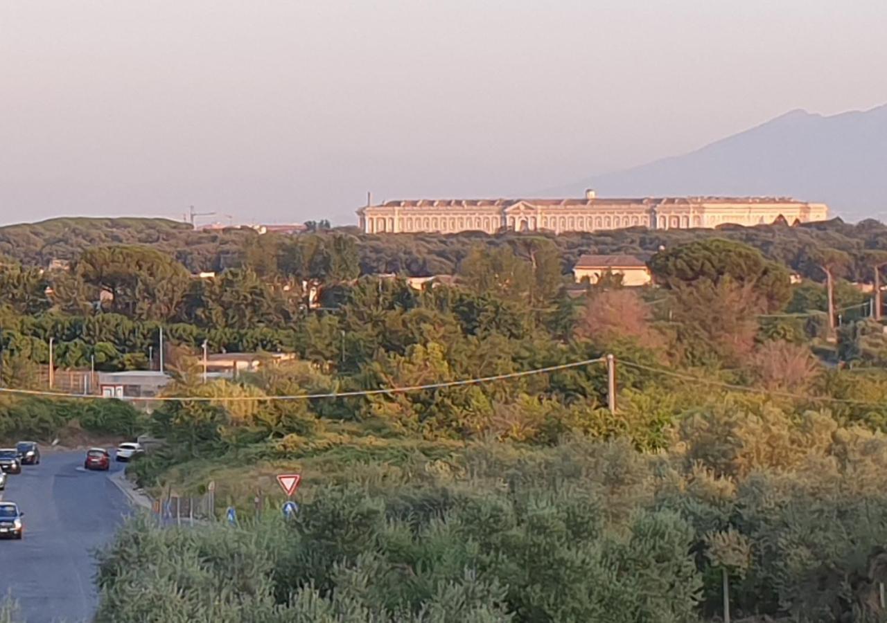 B&B Oliveto Казерта Экстерьер фото
